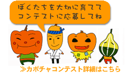 �J�{�`���R���e�X�g