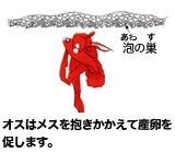 �ɐB�ɒ���