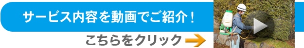 �R�����s�u