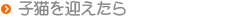�q�L���}������