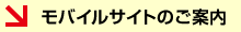 ���o�C���T�C�g�̂��ē�