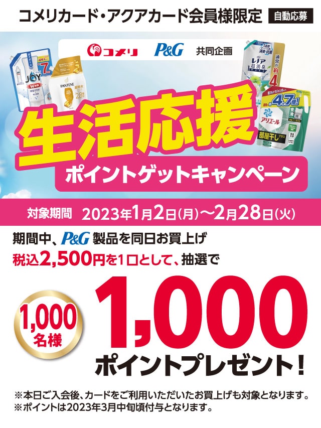 P&G�@���������|�C���g�Q�b�g�L�����y�[���@2023�N1��2��(��)�`2023�N2��28��(��)�̃L�����y�[�����Ԓ��A�Ώۏ��i�𓯓��������グ�ō�2,500�~��1���Ƃ��āA���I��1,000���l��1,000�|�C���g�v���[���g�I����ɃX�}�z���ς̃R�b�RPay�ɓo�^���Ă��������ƌ���10�{�I