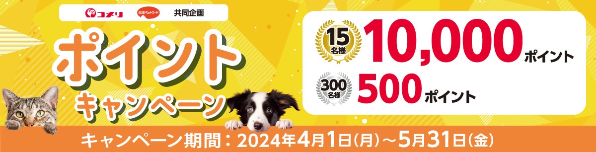 日本ペットフード　ポイントキャンペーン