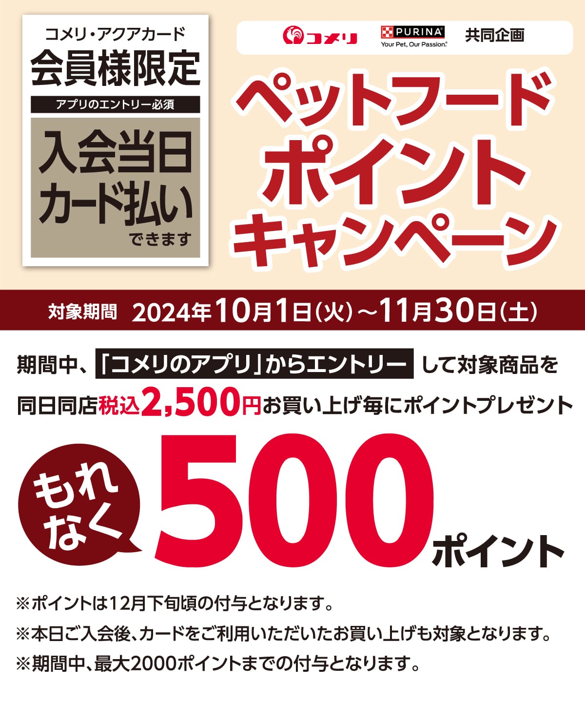 lXsi@ybgt[h|CgLy[@@2024N101()`1130(y)̃Ly[ԒAR̃AvGg[āAΏۏiō2,500~グƂɂȂ500|Cgv[gI