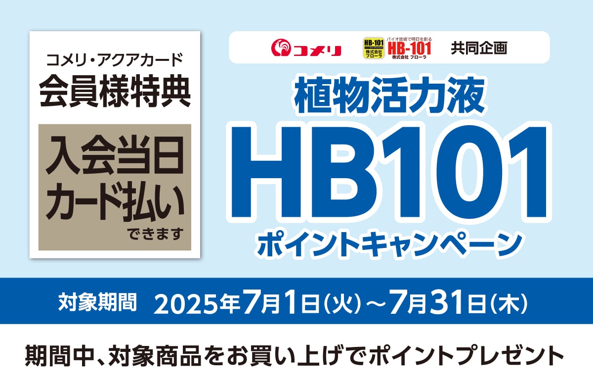 t[@A͉tHB-101|CgLy[@2025N71()`731i؁j̃Ly[ԒAΏۏiグŃ|Cgv[gI