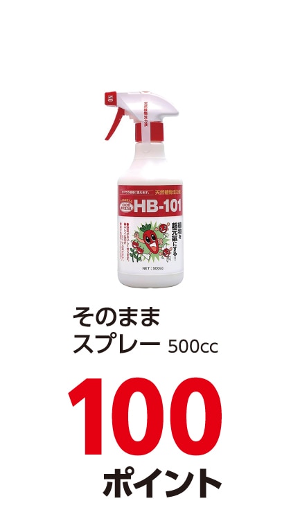 ̂܂܎gXv[^Cv́@ga|POP͉t@TOO