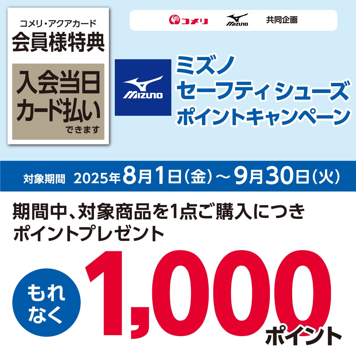~Ym@Z[teBV[Y|CgLy[@2025N81()`930i΁j̃Ly[ԒAΏۏi1_wɂȂ1,000|Cgv[gI