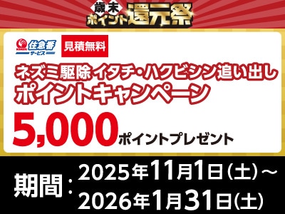 住急番　ネズミ駆除　イタチ・ハクビシン追い出しポイントキャンペーン