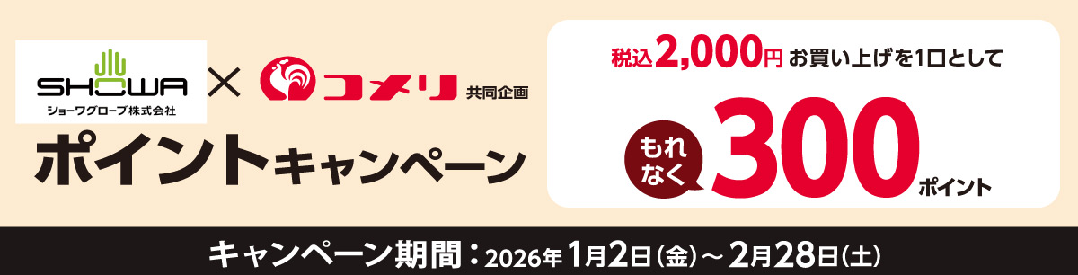 ショーワグローブ　ポイントキャンペーン