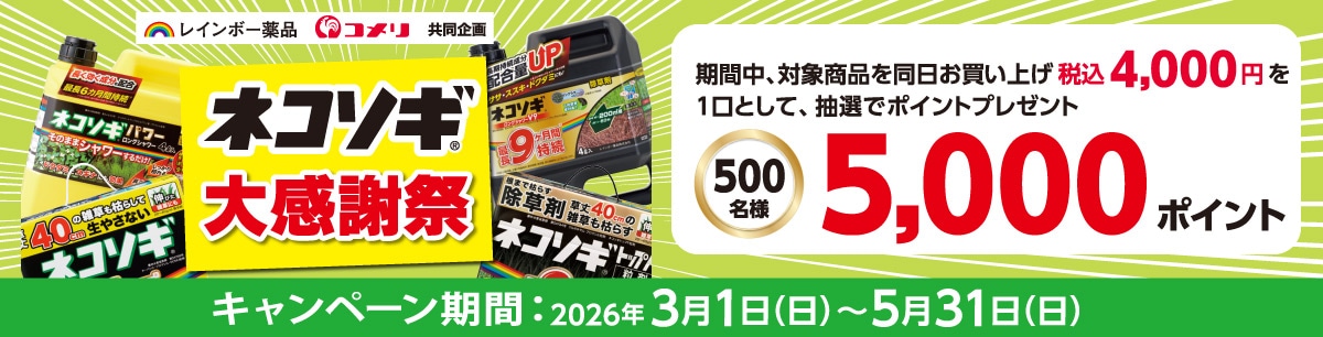 レインボー薬品　ネコソギ大感謝祭