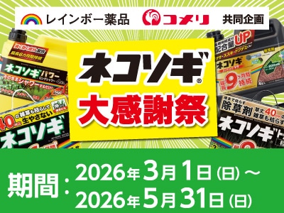 レインボー薬品　ネコソギ大感謝祭