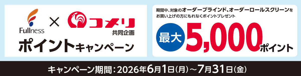 フルネス ポイントキャンペーン