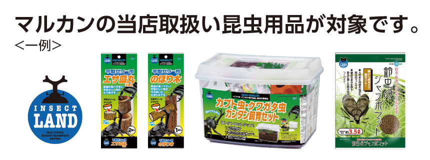 対象商品