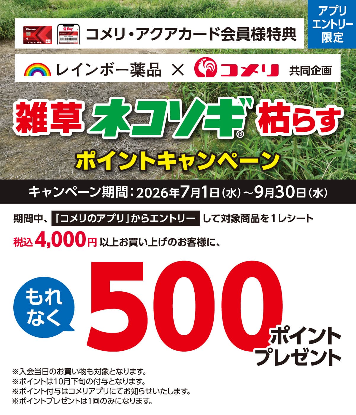 レインボー薬品 雑草ネコソギ枯らすポイントキャンペーン 2026年7月1日(水)～9月30日(水)のキャンペーン期間中、コメリのアプリからエントリーして対象商品を1レシート税込4,000円以上お買い上げのお客様にもれなく500ポイントプレゼント