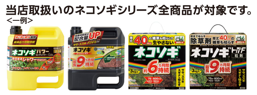 対象商品