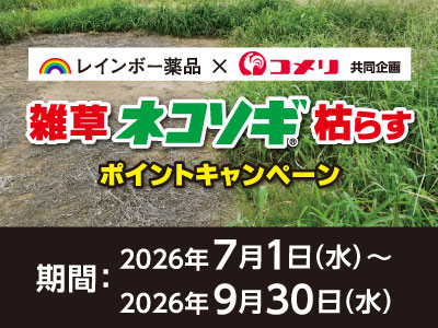レインボー薬品 雑草ネコソギ枯らすポイントキャンペーン