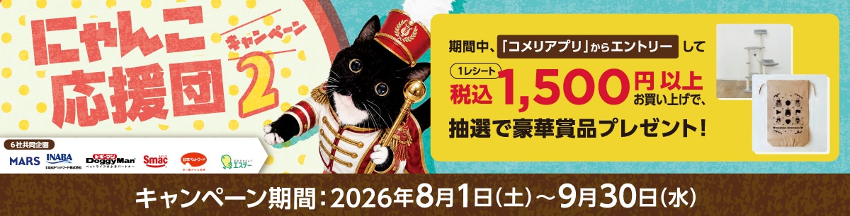 にゃんこ応援団キャンペーン2
