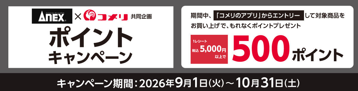 アネックス　ポイントキャンペーン