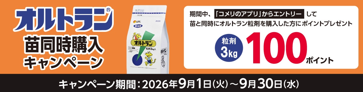 オルトラン　苗同時購入キャンペーン