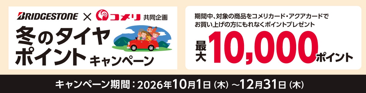 ブリヂストン 冬のタイヤポイントキャンペーン