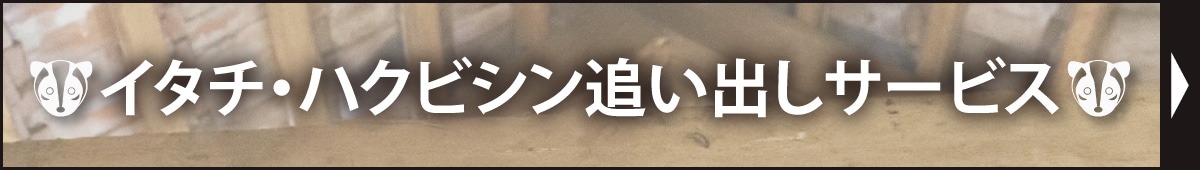 イタチ・ハクビシン追い出しサービス