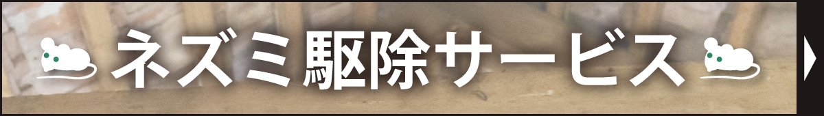 ネズミ駆除 サービス