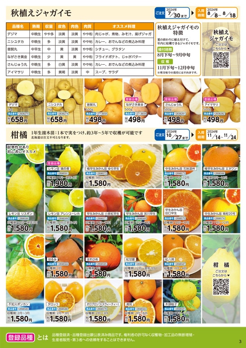 種芋果樹苗予約 | WEBカタログ | コメリドットコム