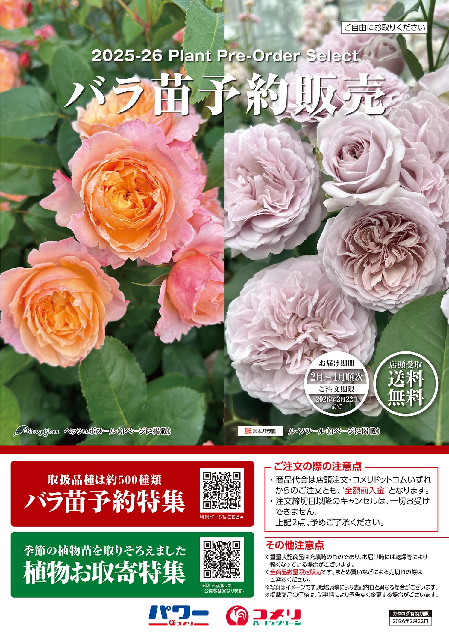 バラ苗予約販売 | WEBカタログ | コメリドットコム