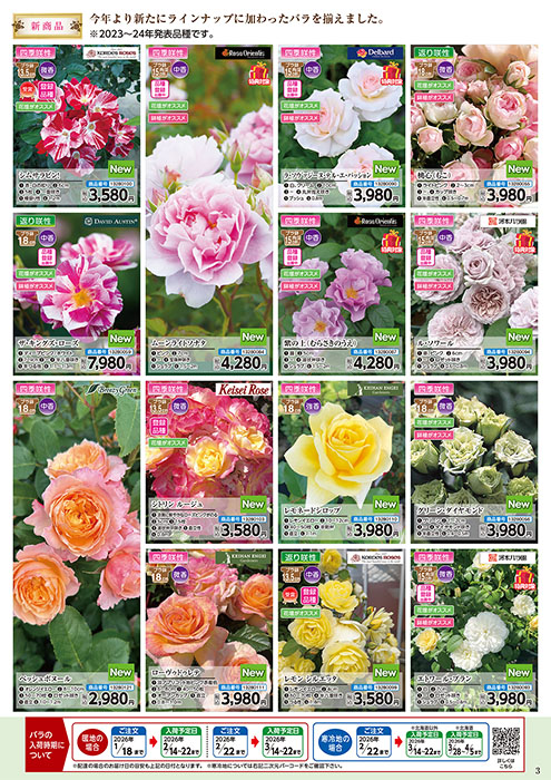 バラ苗予約販売 | WEBカタログ | コメリドットコム
