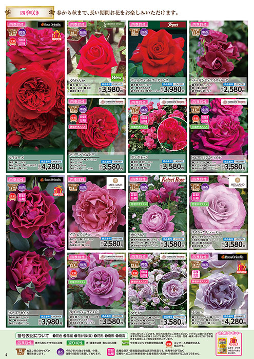 バラ苗予約販売 | WEBカタログ | コメリドットコム