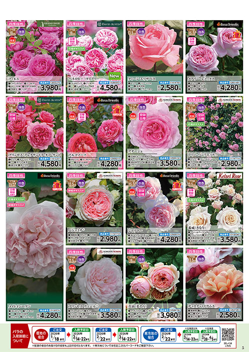 バラ苗予約販売 | WEBカタログ | コメリドットコム