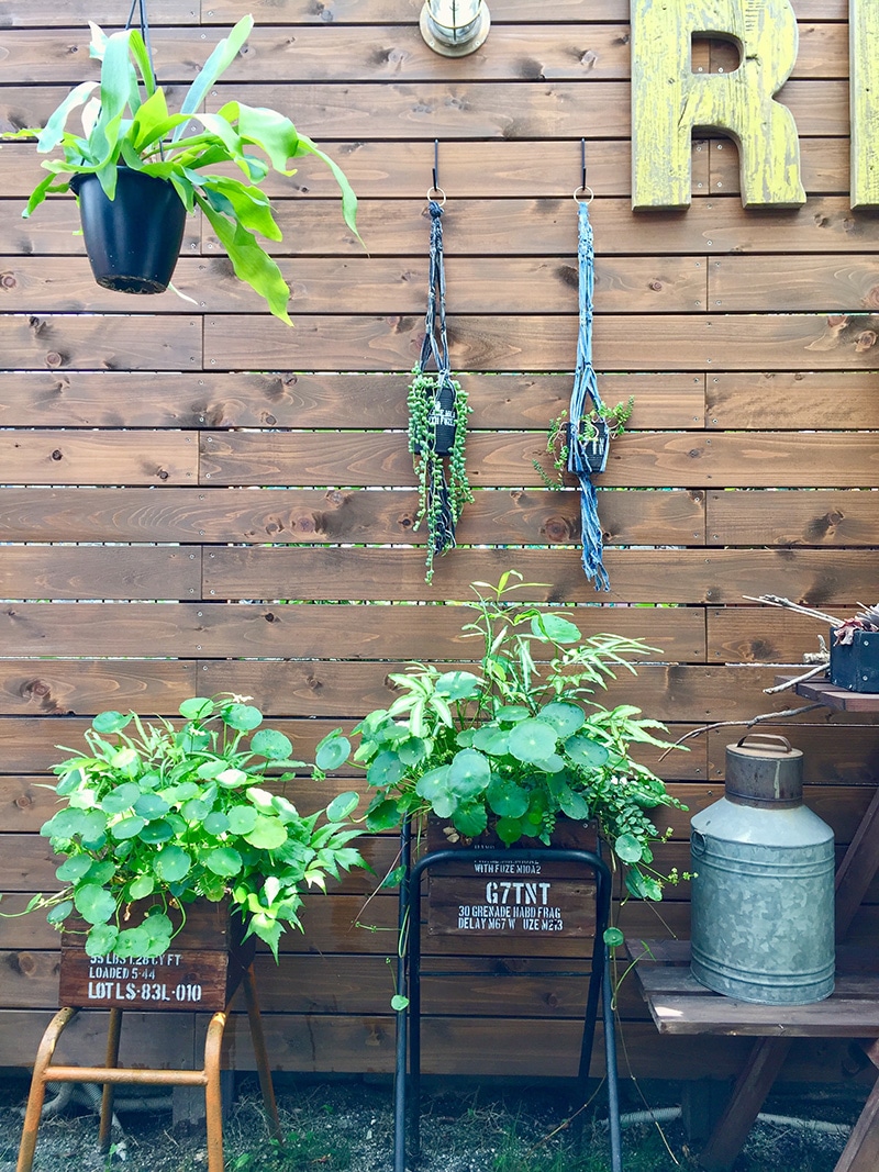 ガーデンフォトコンテスト コメリドットコム