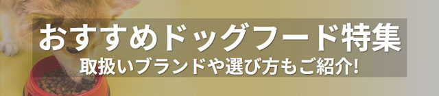 おすすめドッグフード特集