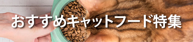 おすすめキャットフード特集