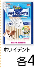 ホワイデント　長持ち歯みがき　ギザ棒ガムＳ　２１本