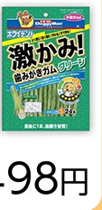 ホワイデント　激かみ！歯みがきガムグリーンＳ２４本