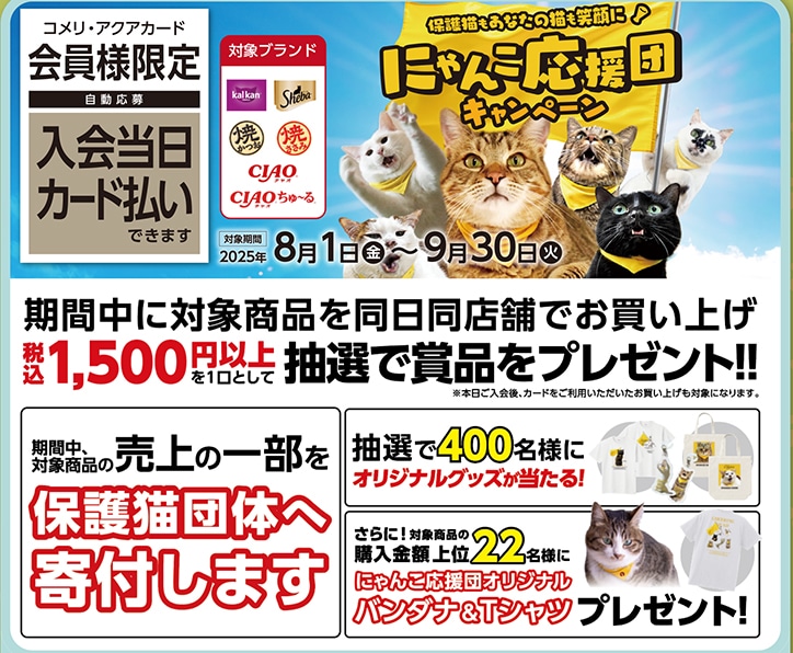 コメリ×マース×いなば　にゃんこ応援団キャンペーン