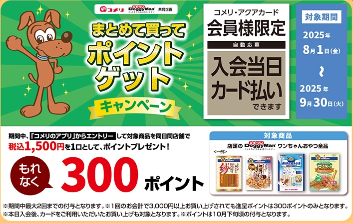 ドギーマンハヤシ　まとめて買ってポイントゲットキャンペーン