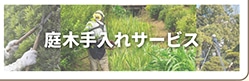 庭木の手入れサービス