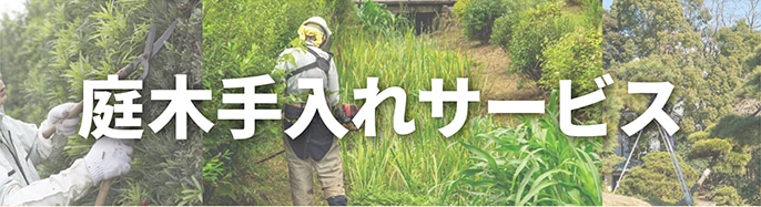 庭木の手入れサービス