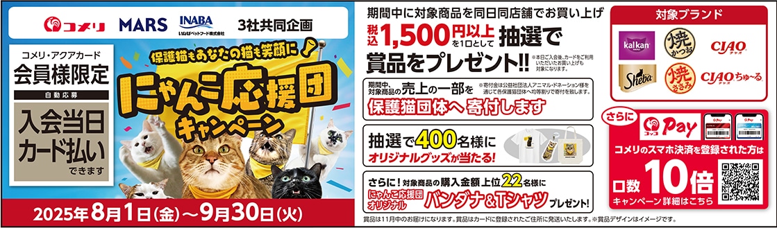 イチオシキャンペーン