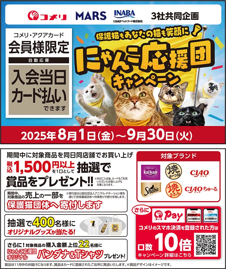 イチオシキャンペーン