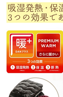 ３つの効果であったか敷きパッド　ＤＢＲ　Ｓ　　　　
