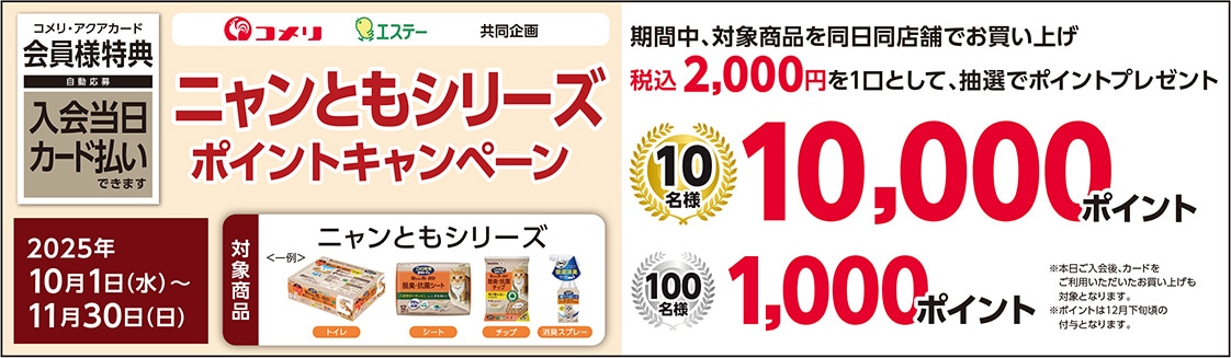 イチオシキャンペーン
