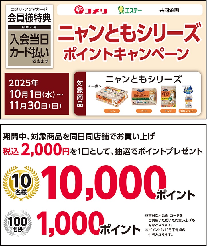 イチオシキャンペーン