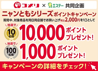 エステー　ニャンともシリーズポイントキャンペーン