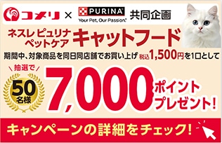 ネスレピュリナペットケア　キャットフードポイントキャンペーン