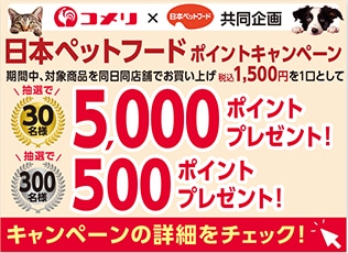 日本ペットフード　ポイントキャンペーン
