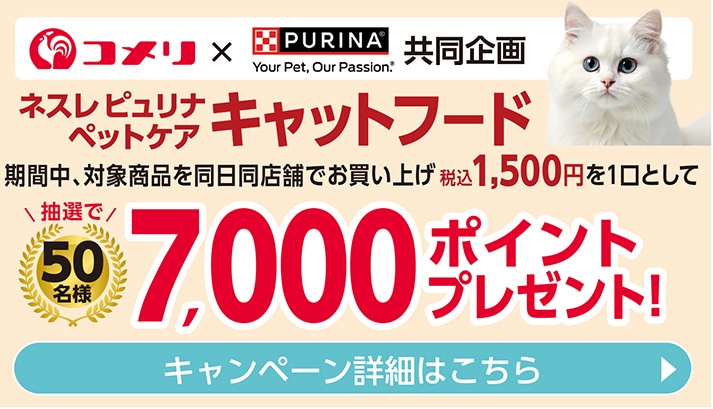 ネスレピュリナペットケア　キャットフードポイントキャンペーン