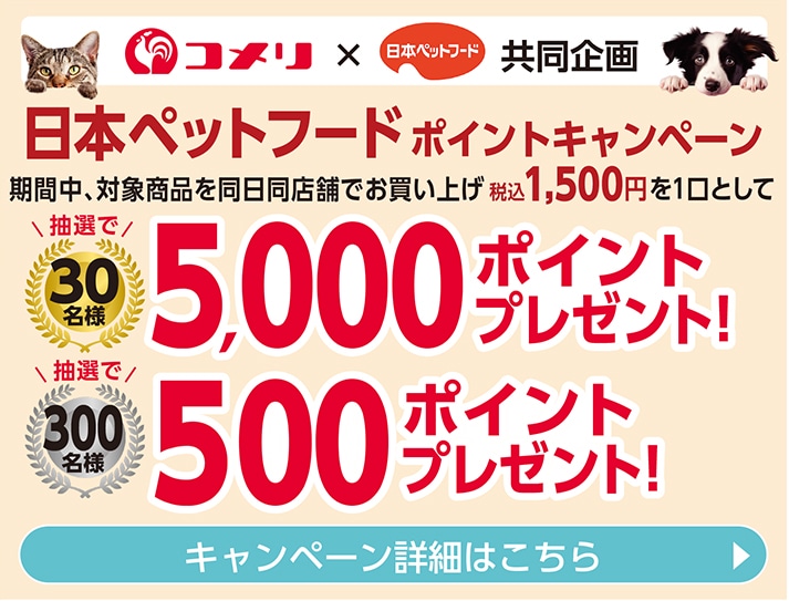 日本ペットフード　ポイントキャンペーン
